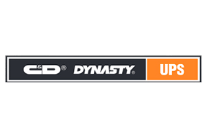 Dynasty