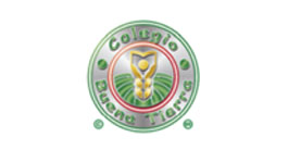 COLEGIO BUENA TIERRA