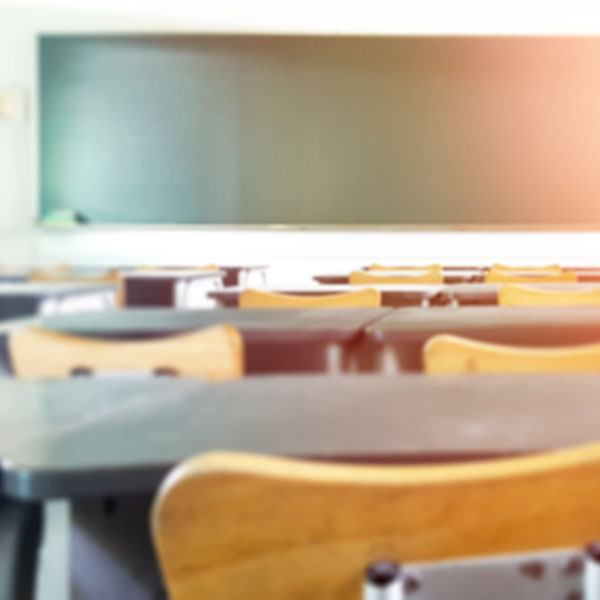 Desarrollo escuelas