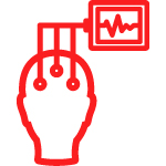 Neurofisiología