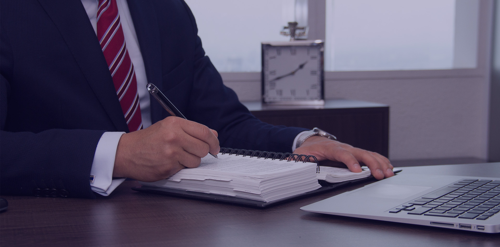 Vega Consulting